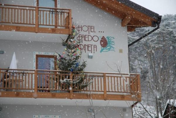Hotel Faedo Pineta Zimmer foto